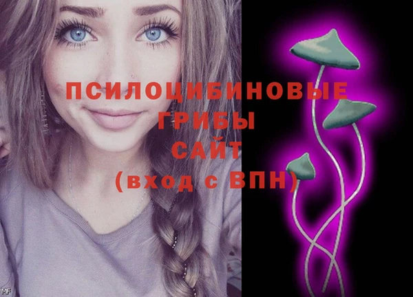 гидропоника Богданович